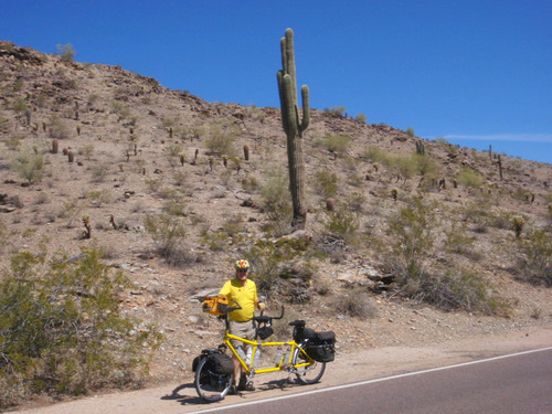 Bicycle Tour, Phoenix: Dennis Struck.